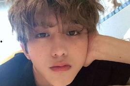 娱乐吃瓜酱程序员,揭秘编程界的趣味与智慧